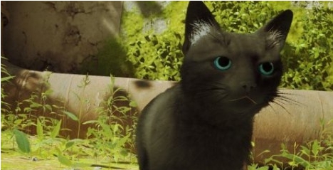 迷失Stray蓝瞳黑胡黑猫MOD v1.56 迷失Stray蓝瞳黑胡黑猫MOD v1.56