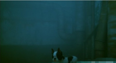 迷失Stray可爱小狗替换小猫MOD v1.47 迷失Stray可爱小狗替换小猫MOD v1.47