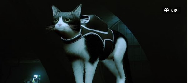 迷失Stray黑白双色燕尾服猫MOD v2.2