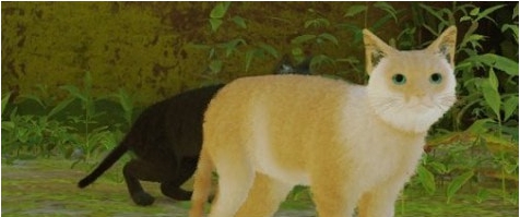 迷失Stray黄白斑纹暹罗猫MOD v3.91 迷失Stray黄白斑纹暹罗猫MOD v3.91