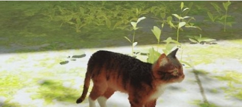 迷失Stray白颊棕色虎斑猫MOD v3.5 迷失Stray白颊棕色虎斑猫MOD v3.5