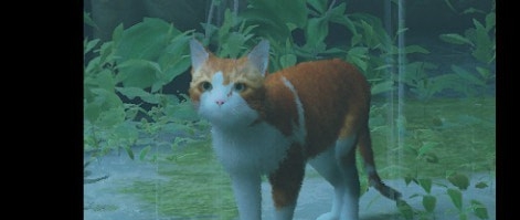 迷失Stray橘猫安东尼奥MOD v3.24 迷失Stray橘猫安东尼奥MOD v3.24