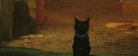 迷失Stray黑猫寿司MOD v3.36 迷失Stray黑猫寿司MOD v3.36
