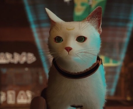 迷失Stray美少女战士月野兔猫MOD v2.82 迷失Stray美少女战士月野兔猫MOD v2.82