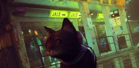 迷失Stray自由缅因浣熊猫MOD v1.18 迷失Stray自由缅因浣熊猫MOD v1.18