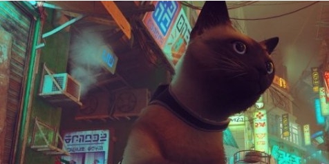 迷失Stray精致冰蓝眼暹罗猫MOD v3.11