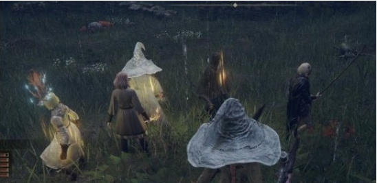 艾尔登法环与五位美人同行MOD v2.5 艾尔登法环与五位美人同行MOD v2.5