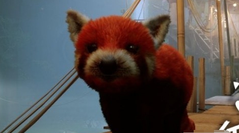 迷失Stray超萌小熊猫替换猫咪MOD v1.62