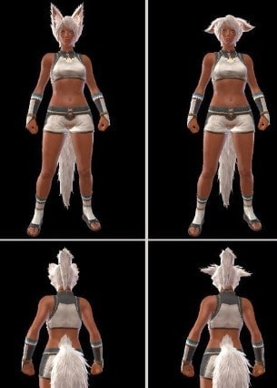 怪物猎人崛起毛茸茸耳朵MOD v2.76 怪物猎人崛起毛茸茸耳朵MOD v2.76