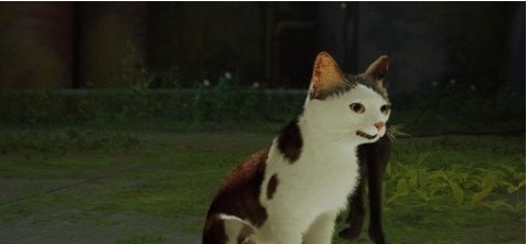 迷失Stray凶狠狸花猫PolluxMOD v1.48 迷失Stray凶狠狸花猫PolluxMOD v1.48