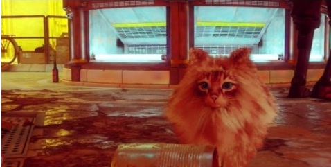 迷失Stray毛发旺盛的狮子猫猫MOD v1.73 迷失Stray毛发旺盛的狮子猫猫MOD v1.73