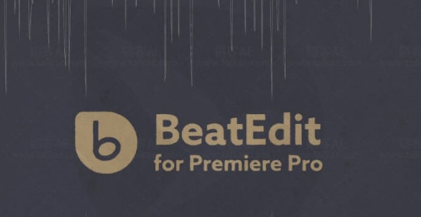 BeatEdit2021 v2.1.010 BeatEdit2021 v2.1.010