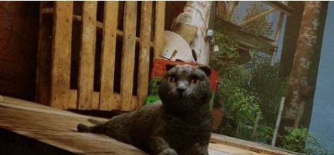 迷失Stray苏格兰折耳猫替换所有猫MOD v2.60 迷失Stray苏格兰折耳猫替换所有猫MOD v2.60