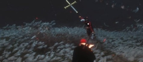 只狼影逝二度海贼王鹰眼替换苇名一心MOD v1.34