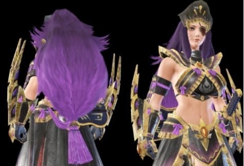 怪物猎人崛起曙光全新修改怨虎龙套装MOD v3.21 怪物猎人崛起曙光全新修改怨虎龙套装MOD v3.21