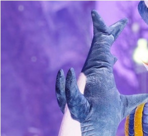 怪物猎人崛起可爱玩偶鲨鱼双刀MOD v3.88