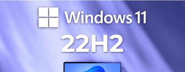 Windows11 22H2 v224