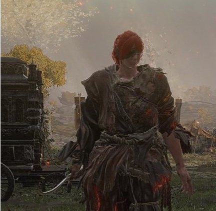 艾尔登法环只狼阿修罗外观MOD v1.64 艾尔登法环只狼阿修罗外观MOD v1.64