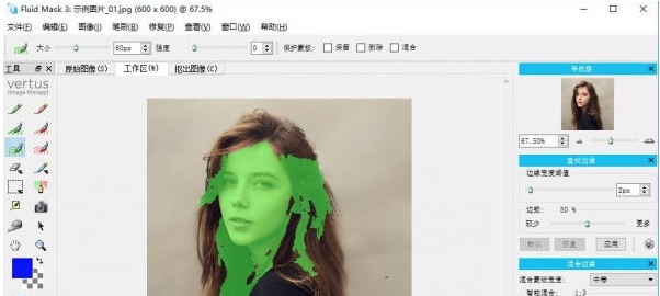 Vertus Fluid Mask v2.67 Vertus Fluid Mask v2.67