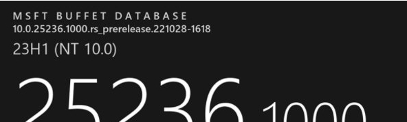 25236.1000补丁 v25236.1003 25236.1000补丁 v25236.1003