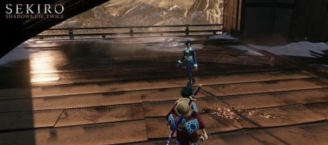 只狼影逝二度海贼王达斯琪替换艾玛MOD v3.55 只狼影逝二度海贼王达斯琪替换艾玛MOD v3.55