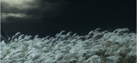 只狼影逝二度DOA女忍霞音效MOD v2.28 只狼影逝二度DOA女忍霞音效MOD v2.28