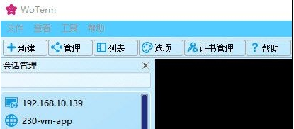 WoTerm v9.26.6 WoTerm v9.26.6