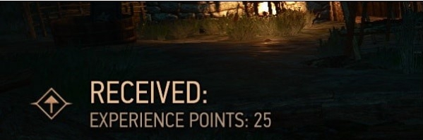 巫师3次世代版灰色任务获得一半经验MOD v3.30