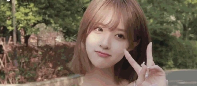 小风车动态壁纸软件 v2.82