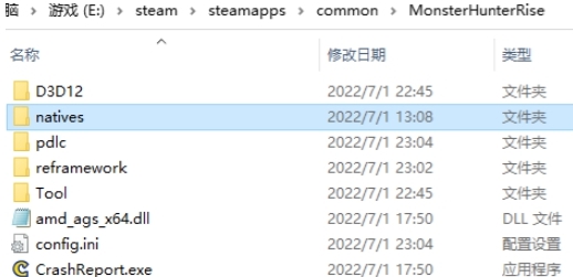 怪物猎人崛起FirstNatives支持工具 v2.2 怪物猎人崛起FirstNatives支持工具 v2.2