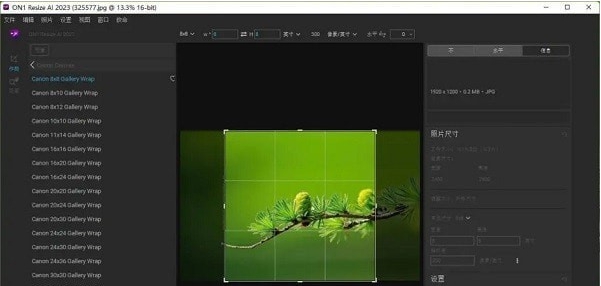 ON1 Resize Ai 2023 v17.3 ON1 Resize Ai 2023 v17.3
