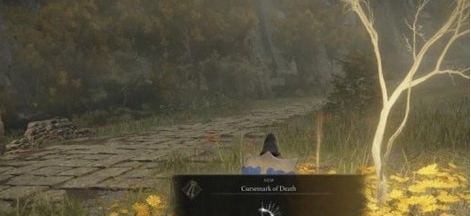 艾尔登法环物品和敌人随机生成器MOD v2.17 艾尔登法环物品和敌人随机生成器MOD v2.17