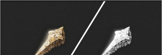 艾尔登法环古龙岩锻造石可购买MOD v1.29 艾尔登法环古龙岩锻造石可购买MOD v1.29