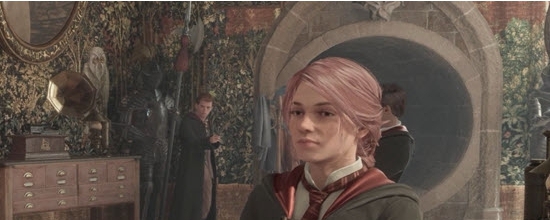 霍格沃茨之遗捏脸数据转移工具 v2.16 霍格沃茨之遗捏脸数据转移工具 v2.16