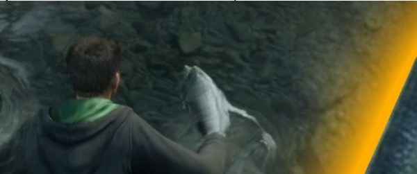 霍格沃茨之遗狂飙冻鱼替换魔杖MOD v2.69 霍格沃茨之遗狂飙冻鱼替换魔杖MOD v2.69