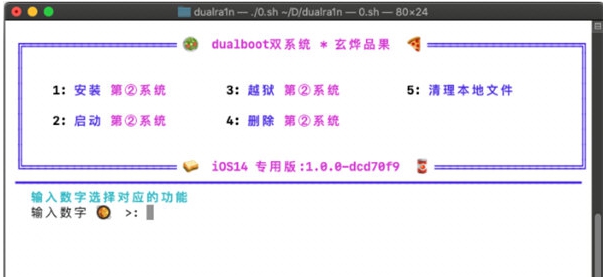 dualra1n v1.1 dualra1n v1.1