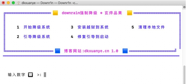 downr1n v2027 downr1n v2027