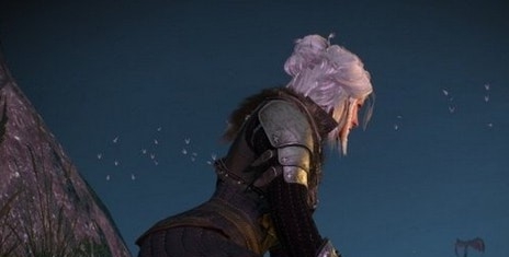 巫师3次世代版希里熊学派服装MOD v2.14 巫师3次世代版希里熊学派服装MOD v2.14