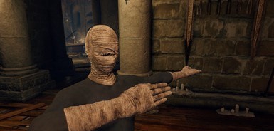 艾尔登法环缠绕物上不再有血MOD v3.87 艾尔登法环缠绕物上不再有血MOD v3.87