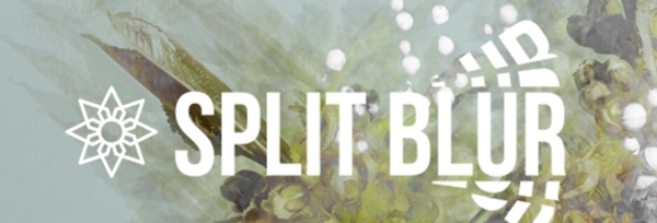 SplitBlur免激活版 v1.3.3