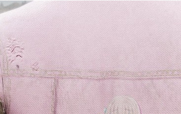 荒野大镖客2波奇背心和凉外套MOD v2.21 荒野大镖客2波奇背心和凉外套MOD v2.21