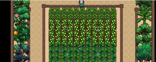 星露谷物语艾蒙的花式温室MOD v3.43 星露谷物语艾蒙的花式温室MOD v3.43
