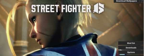 街头霸王6MOD管理器 v3.013 街头霸王6MOD管理器 v3.013