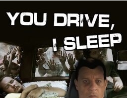 僵尸毁灭工程你开车我睡觉MOD v3.90