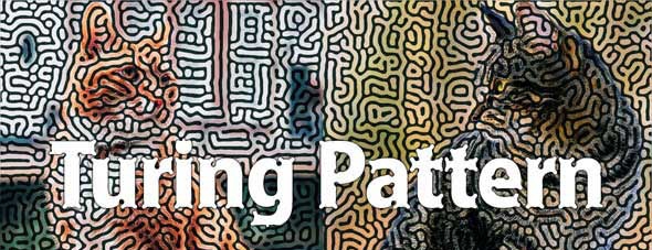 TuringPattern v1.3