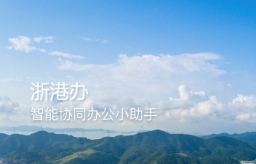 浙港办 v4.1.0.1021