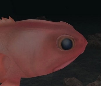 动物园大亨2短脊刺头鱼MOD v1.82 动物园大亨2短脊刺头鱼MOD v1.82