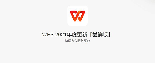 WPS 2021 v11.1.0.10219