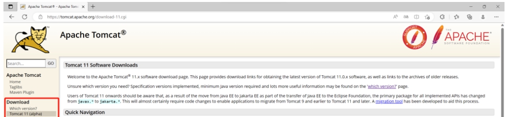 Tomcat v11.0.1 Tomcat v11.0.1