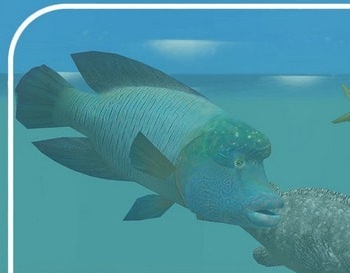 动物园大亨2大西洋鳕鱼组合包MOD v1.38 动物园大亨2大西洋鳕鱼组合包MOD v1.38